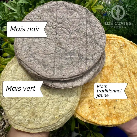 tortillas-colores-mailing